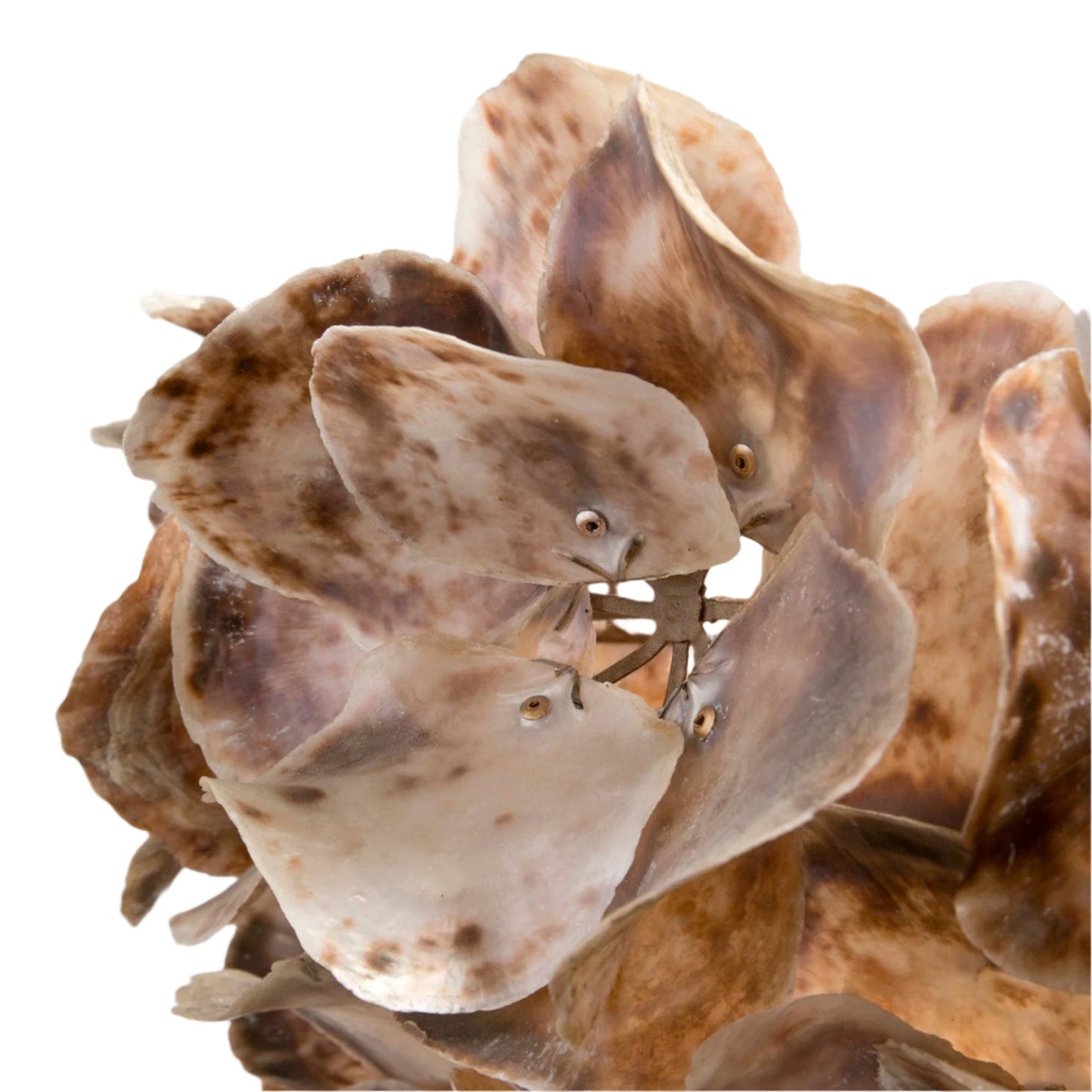 Venus Textured Statement Chandelier