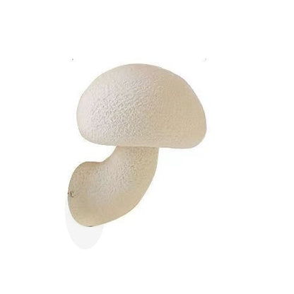 Mushroom Resin Sconce