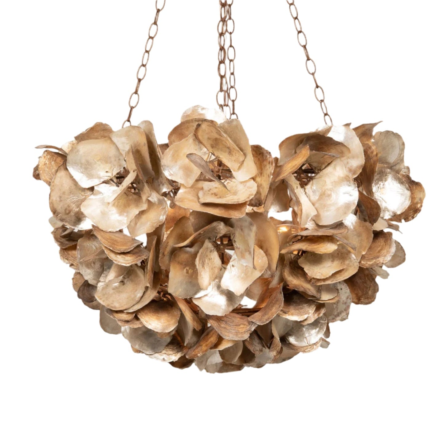 Venus Textured Statement Chandelier / Champagne